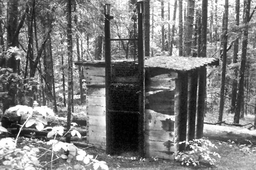 The wooden Bigfoot trap in the Rogue River-Siskiyou National Forest